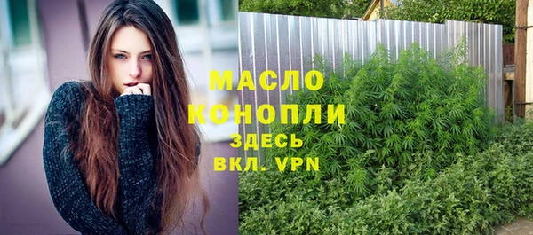 ПСИЛОЦИБИНОВЫЕ ГРИБЫ Горняк