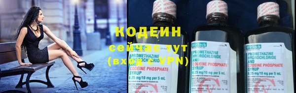 ПСИЛОЦИБИНОВЫЕ ГРИБЫ Горняк