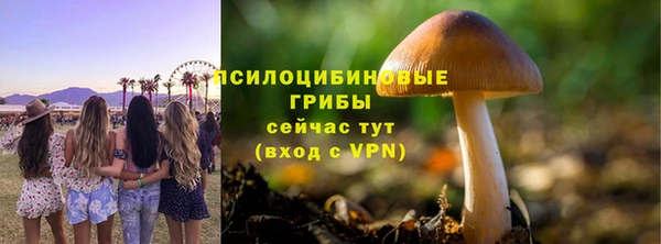 ПСИЛОЦИБИНОВЫЕ ГРИБЫ Горняк