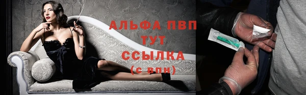 ПСИЛОЦИБИНОВЫЕ ГРИБЫ Горняк
