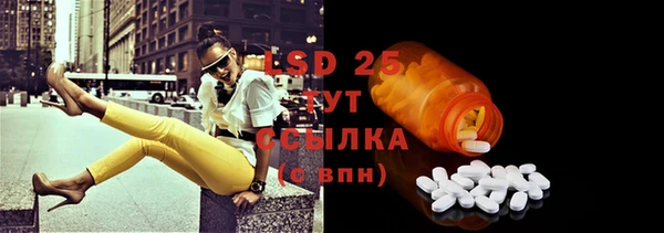 ПСИЛОЦИБИНОВЫЕ ГРИБЫ Горняк
