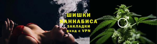 ГАЛЛЮЦИНОГЕННЫЕ ГРИБЫ Горно-Алтайск