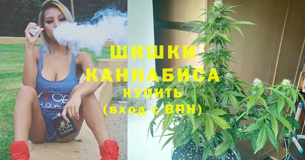 spice Горнозаводск