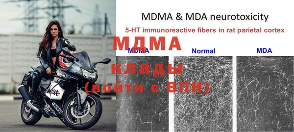 ГАЛЛЮЦИНОГЕННЫЕ ГРИБЫ Горно-Алтайск