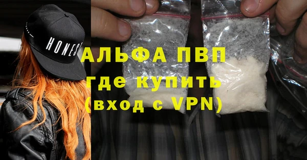 ПСИЛОЦИБИНОВЫЕ ГРИБЫ Горняк