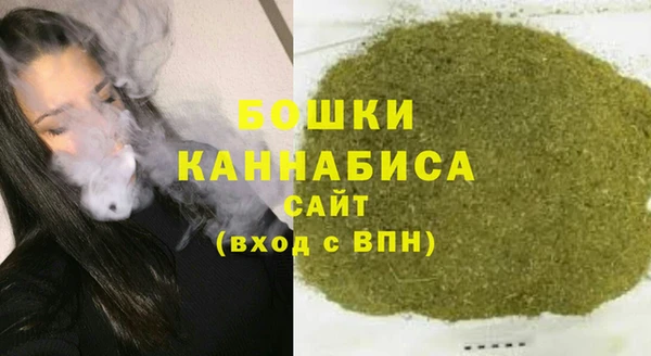 ПСИЛОЦИБИНОВЫЕ ГРИБЫ Горняк