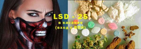 ПСИЛОЦИБИНОВЫЕ ГРИБЫ Горняк