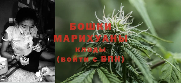 ГАЛЛЮЦИНОГЕННЫЕ ГРИБЫ Горно-Алтайск